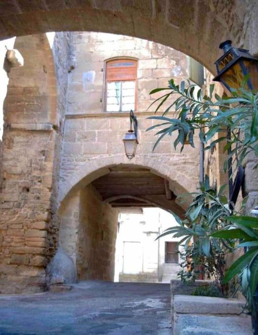 רמולין Chez Lydia - Osez La Vie De Chateau ! Pont Du Gard, Uzes מראה חיצוני תמונה